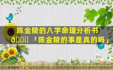 陈金陵的八字命理分析书 🕊 「陈金陵的事是真的吗」